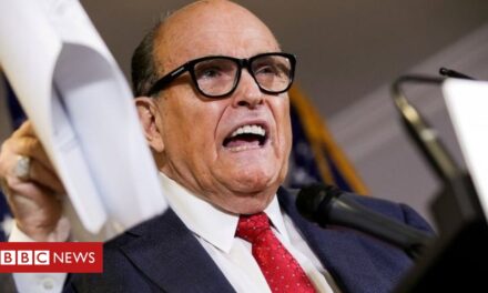 Rudy Giuliani has New York law licence suspended