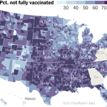 Who Are the Unvaccinated in America? There’s No One Answer.
