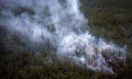 For The First Time In Recorded History, Smoke From Wildfires Reaches The North Pole