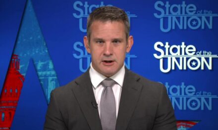 Kinzinger: GOP should not control House if party pushes lies and conspiracies