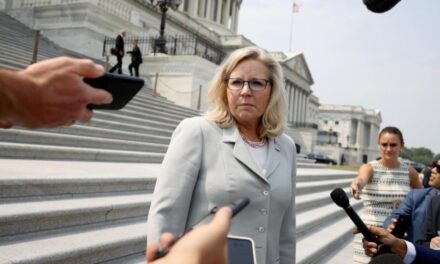 Analysis: What Liz Cheney gets exactly right about Donald Trump — and her party