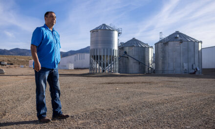 Drought is forcing farmers in Colorado to make tough choices