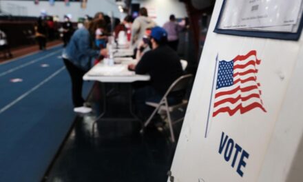 Why noncitizens should be allowed to vote