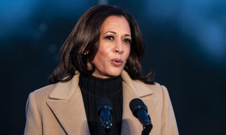 Kamala Harris drove within yards of pipe bomb at DNC headquarters during Capitol riot