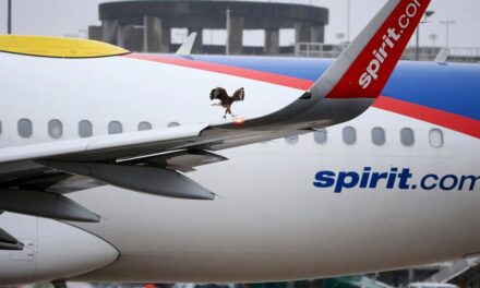 Business Updates: Frontier and Spirit Airlines Announce Plans to Merge