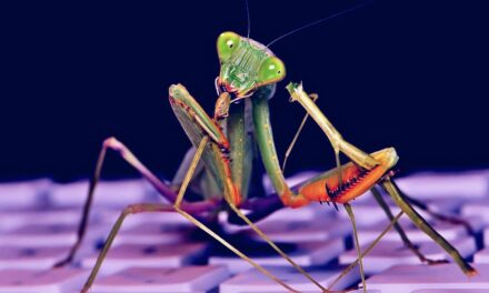 Roaming Mantis Android malware campaign sets sights on Europe