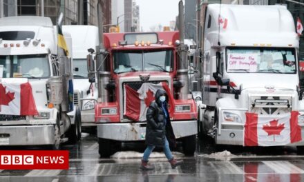 Freedom Convoy: US urges Canada to end blockade by truckers