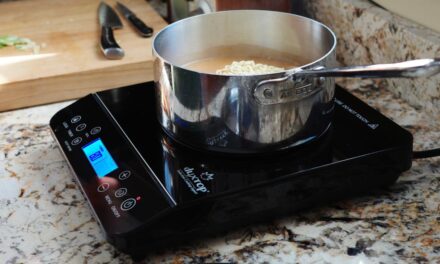 These portable induction cooktops are actually worth your money