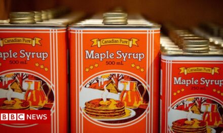 Canada’s Supreme Court upholds C$9m fine on maple syrup thief