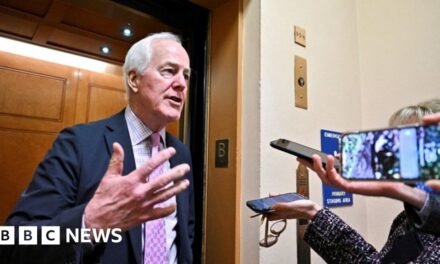 Republican Senate gun negotiator walks out of talks