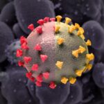 New coronavirus subvariants escape antibodies from vaccination and prior Omicron infection, studies suggest
