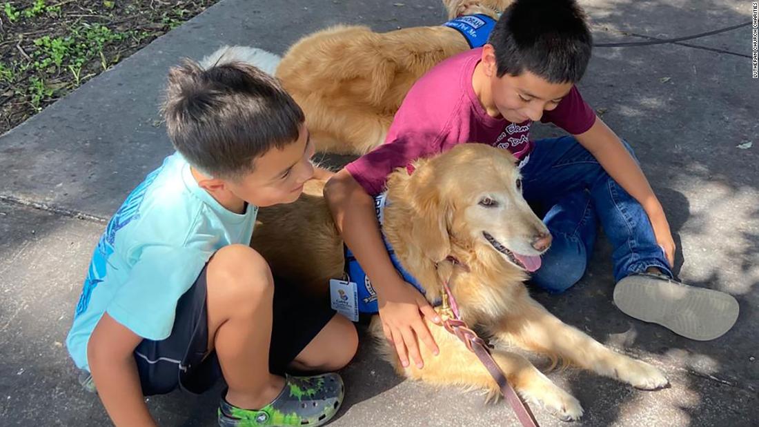Comfort dogs are greeting Uvalde students for their return to school. Here’s how canine visitors can help after tragedy