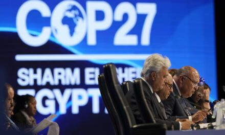 Did the world make progress on climate change? Here’s what was decided at global talks